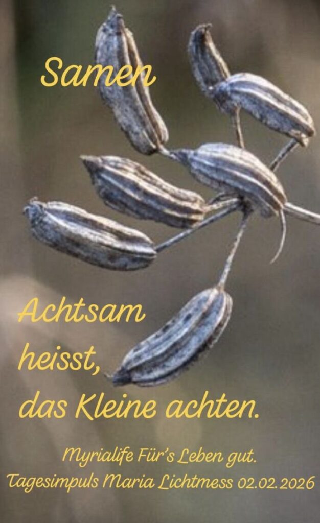 Kürbiskerne als Samen im Naturgarten – Symbol für Ursprung, Wachstum und geistige Orientierung im Jahreskreis