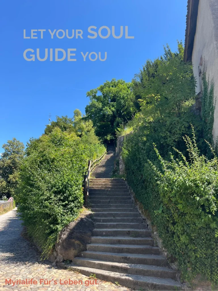 Bild von Weggabelung, let your soul guide you, um den passenden Weg zu finden.