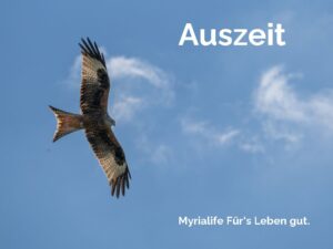 Rotmilan vor feiner Wolke als Symbol für eine Auszeit